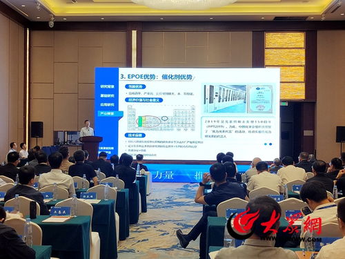 菏澤化工新材料產(chǎn)業(yè) 凝聚行業(yè)力量，技術(shù)驅(qū)動(dòng)高質(zhì)量發(fā)展